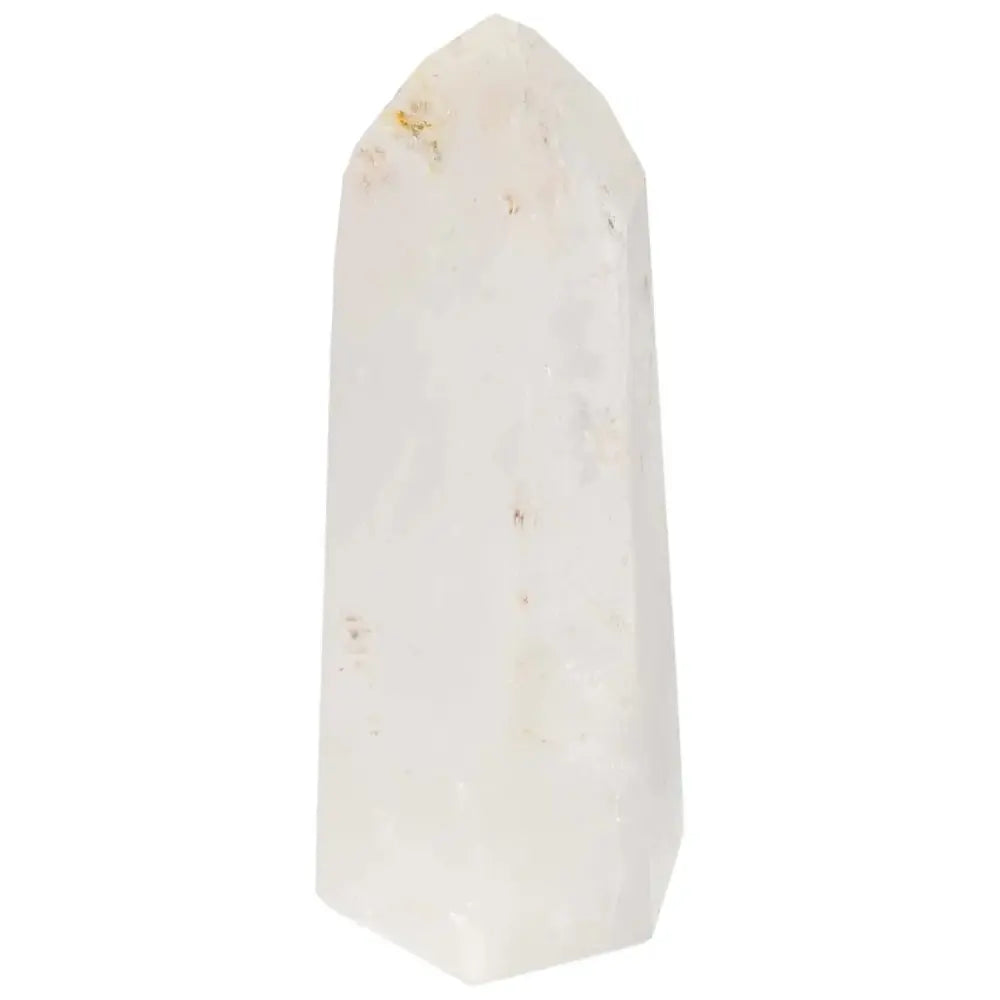 orbitvu|type:image2d