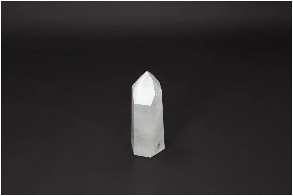 orbitvu|type:image2d