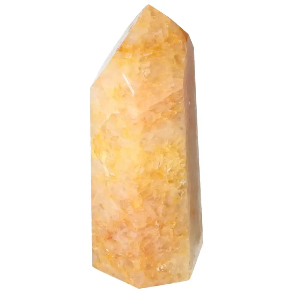 orbitvu|type:image2d