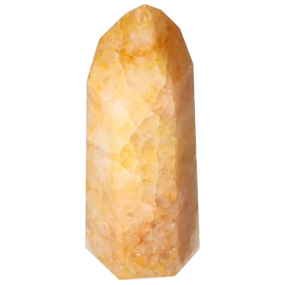 orbitvu|type:image2d