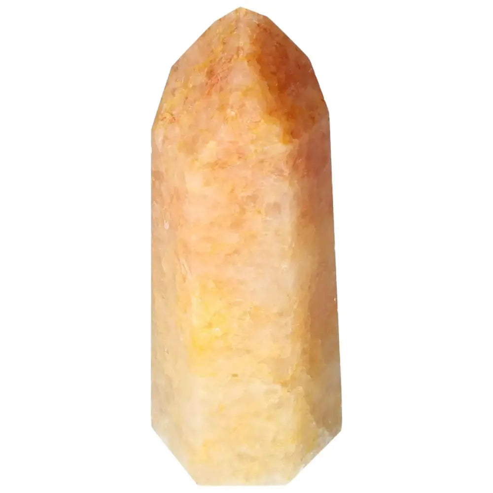 orbitvu|type:image2d