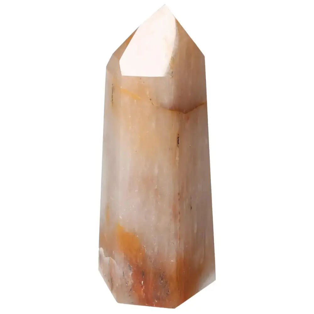 orbitvu|type:image2d