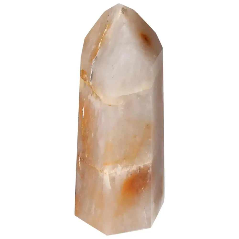 orbitvu|type:image2d