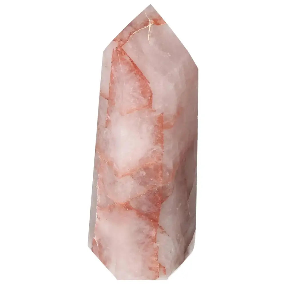 orbitvu|type:image2d