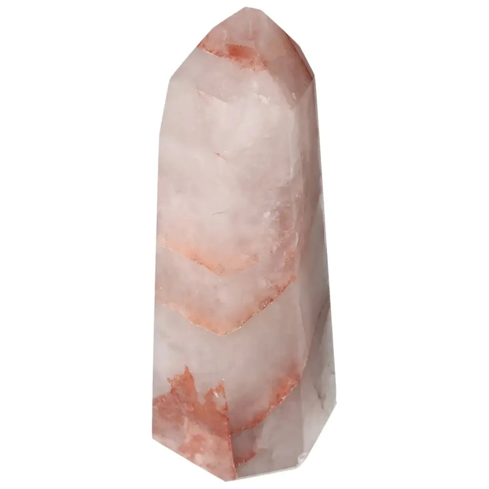 orbitvu|type:image2d