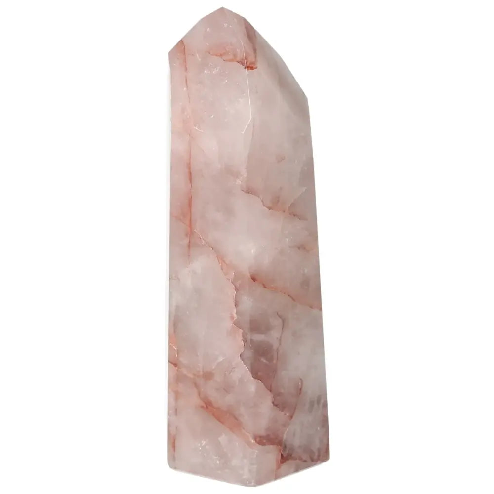 orbitvu|type:image2d