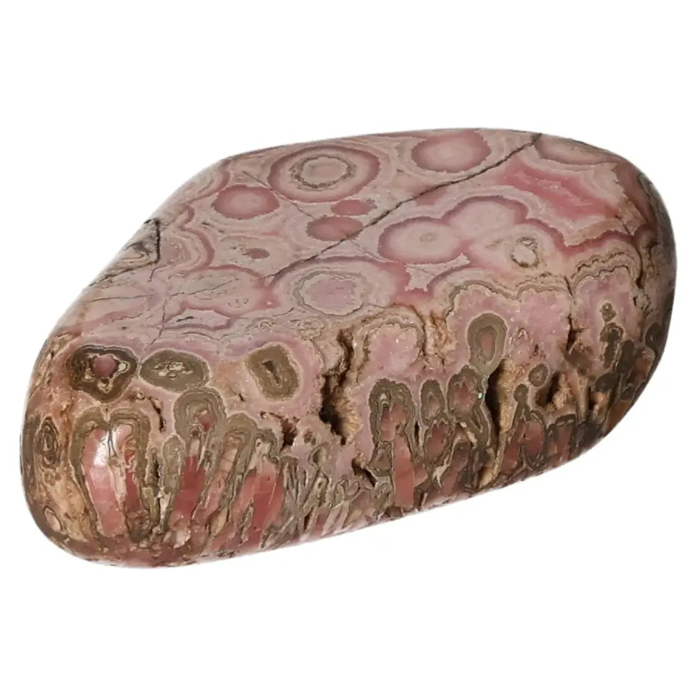 Polished rhodochrosite gemstone with vibrant pink hues and delicate banding, reflecting its lustrous finish, from Sylvia Crystals.