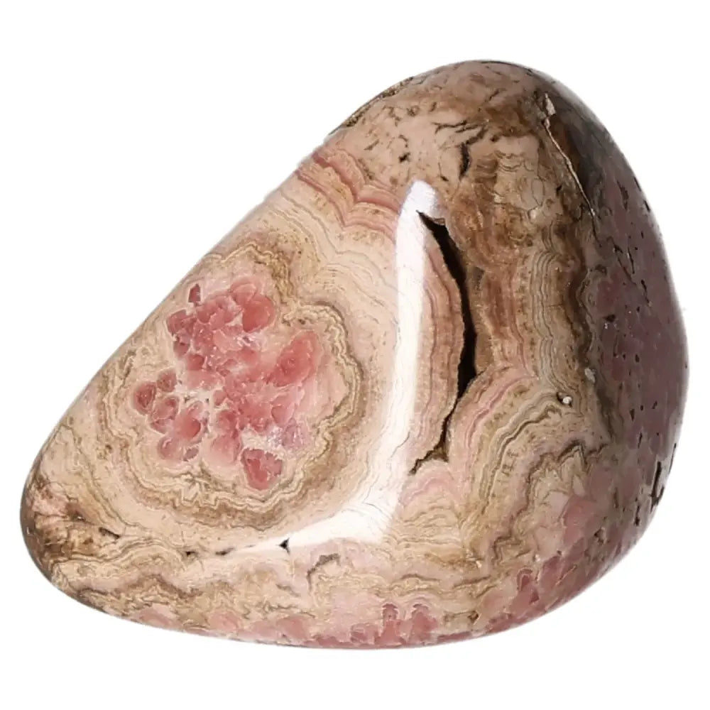 Polished Rhodochrosite gemstone with vibrant pink hues and intricate banding from Sylvia Crystals, perfect for collections or décor.