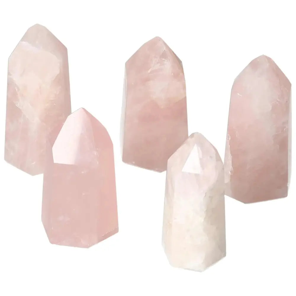 orbitvu|type:image2d