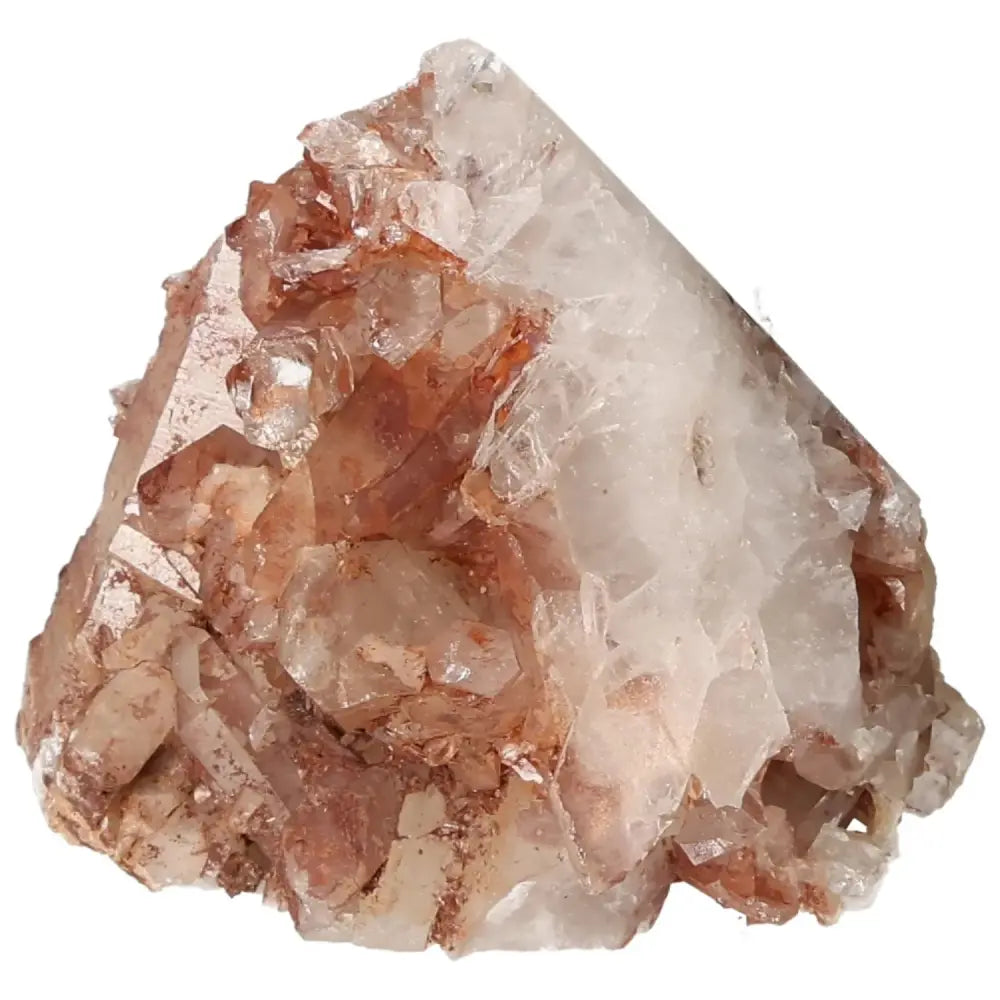 orbitvu|type:image2d