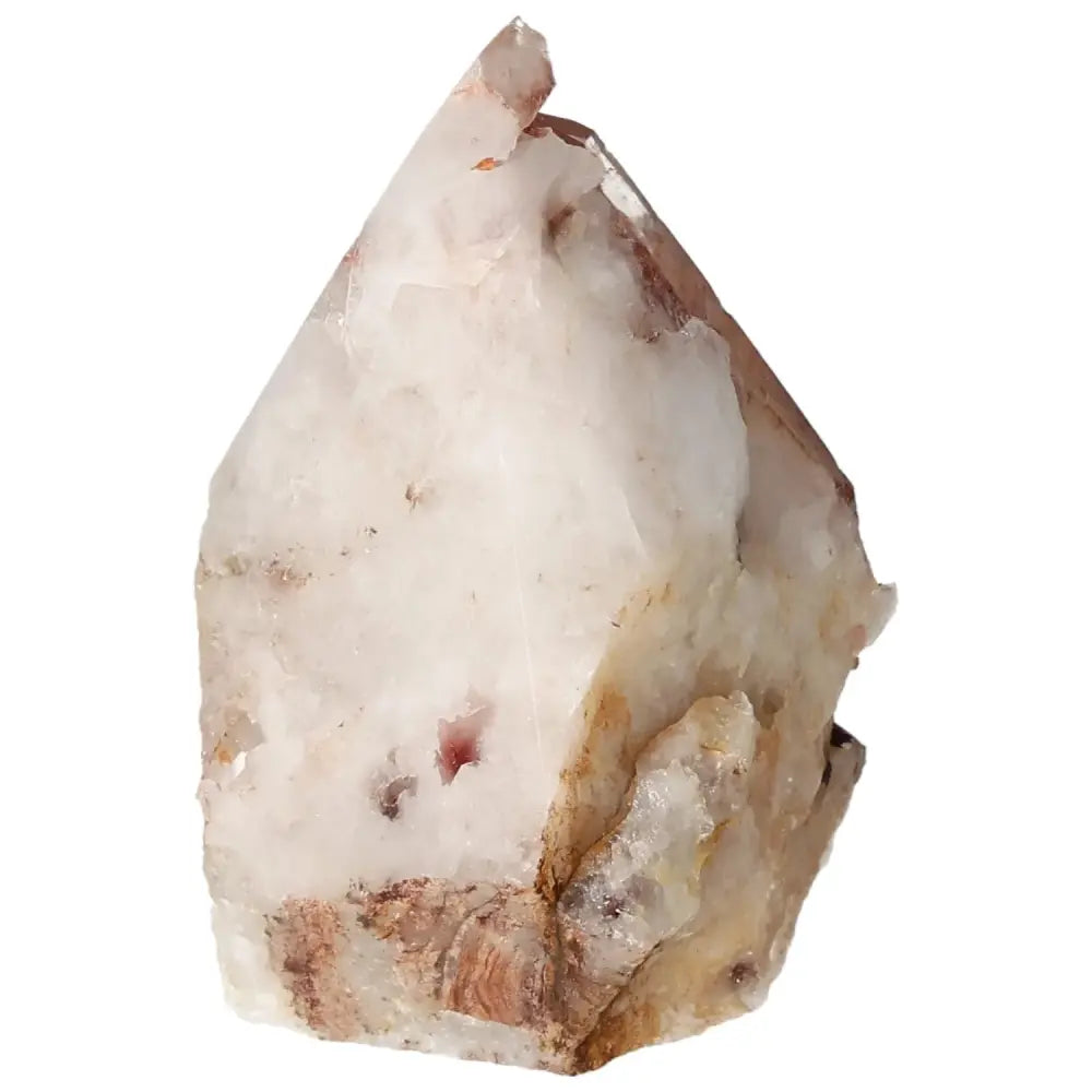 orbitvu|type:image2d