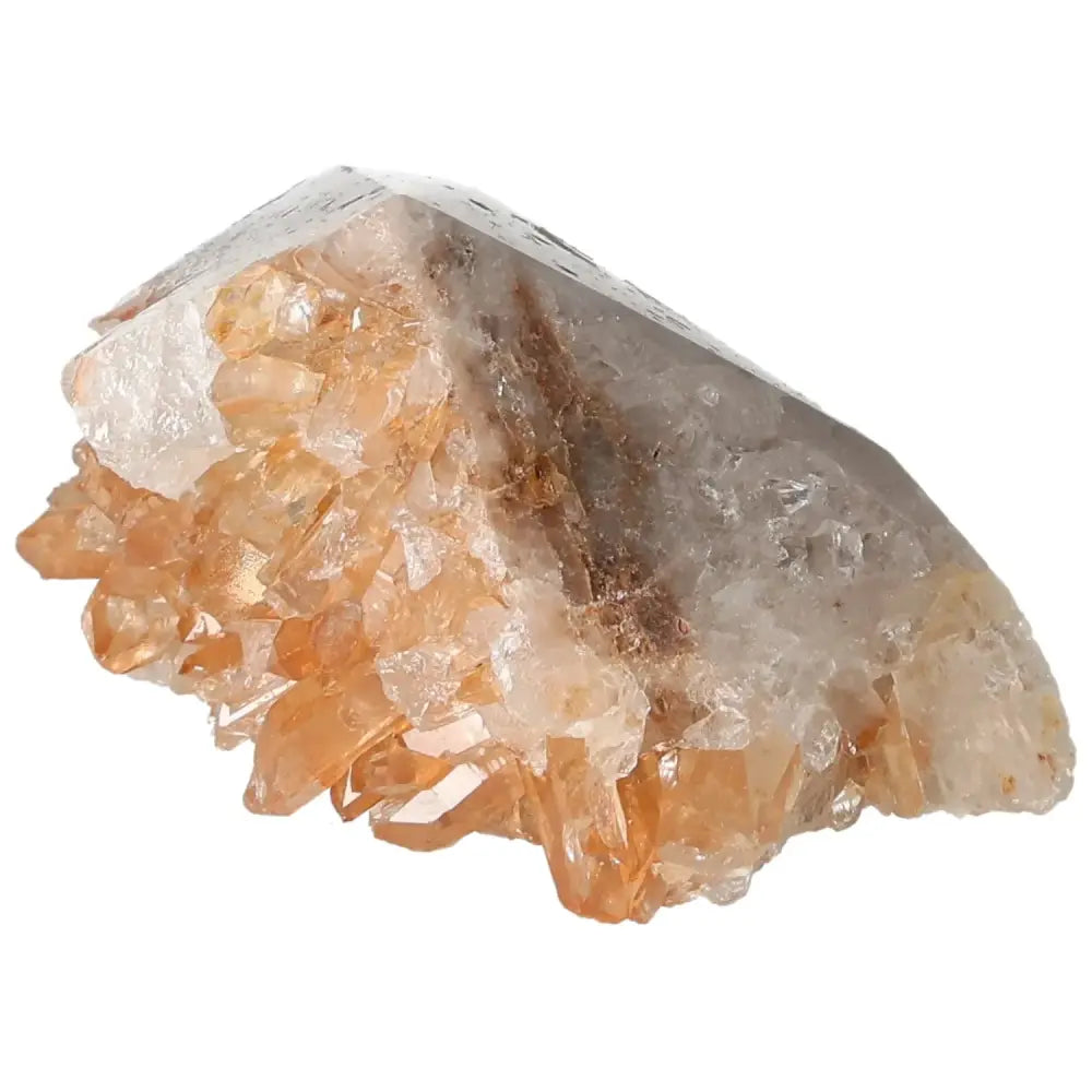 orbitvu|type:image2d