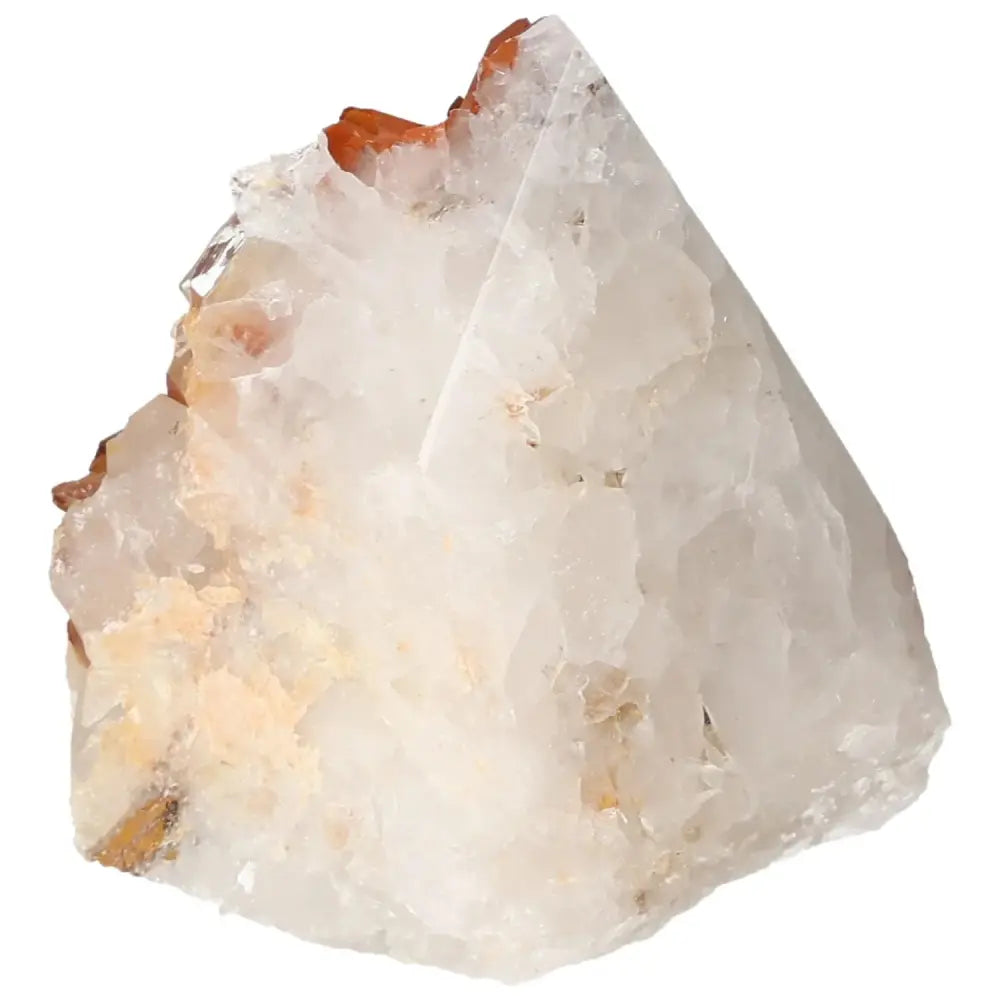 orbitvu|type:image2d