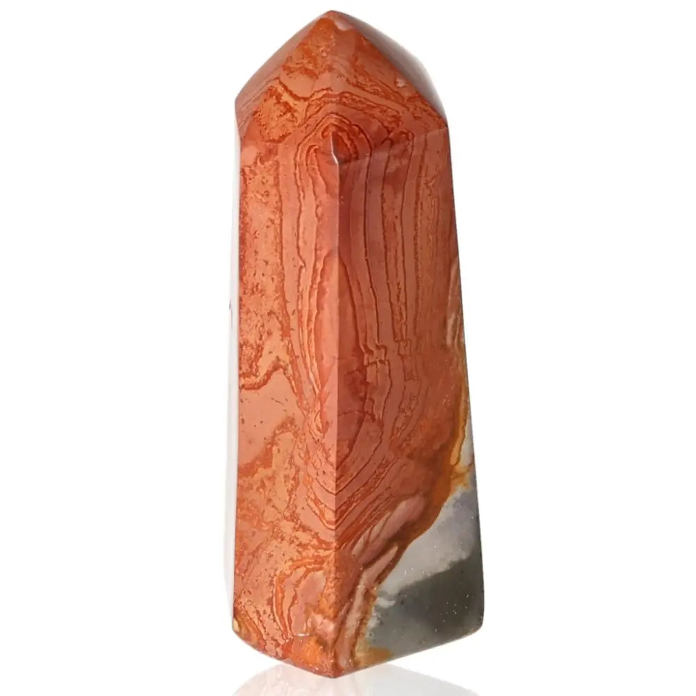 orbitvu|type:ORBITVU 360|https://orbitvu.co/share/n9ozXhoAnKjfSahSKgmnv5/6317838/360/iframe