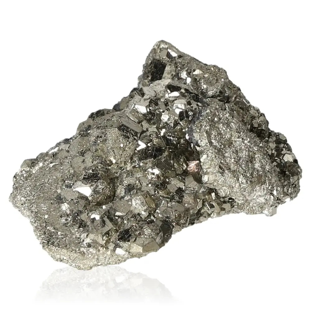 orbitvu|type:image2d