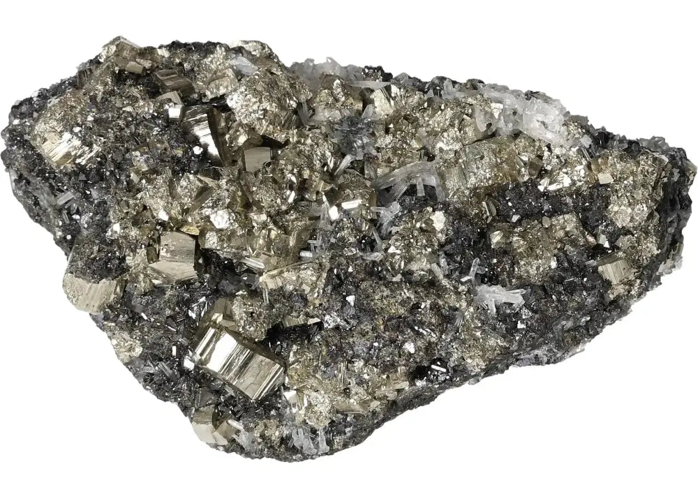 orbitvu|type:image2d