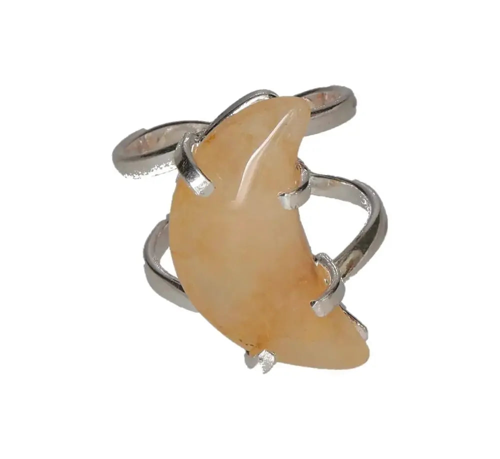 orbitvu|type:image2d