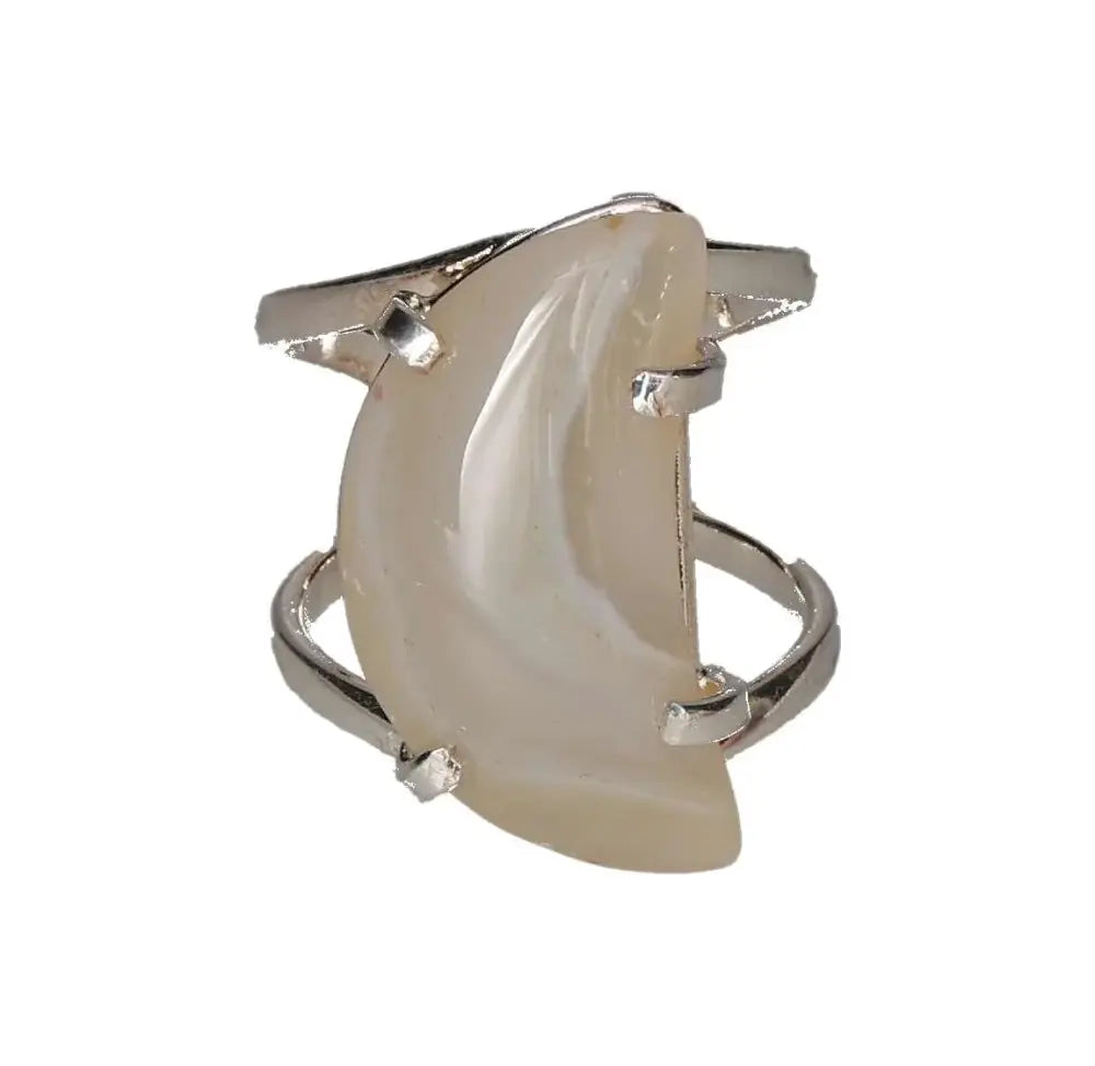 orbitvu|type:image2d