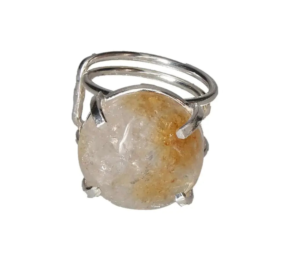 orbitvu|type:image2d