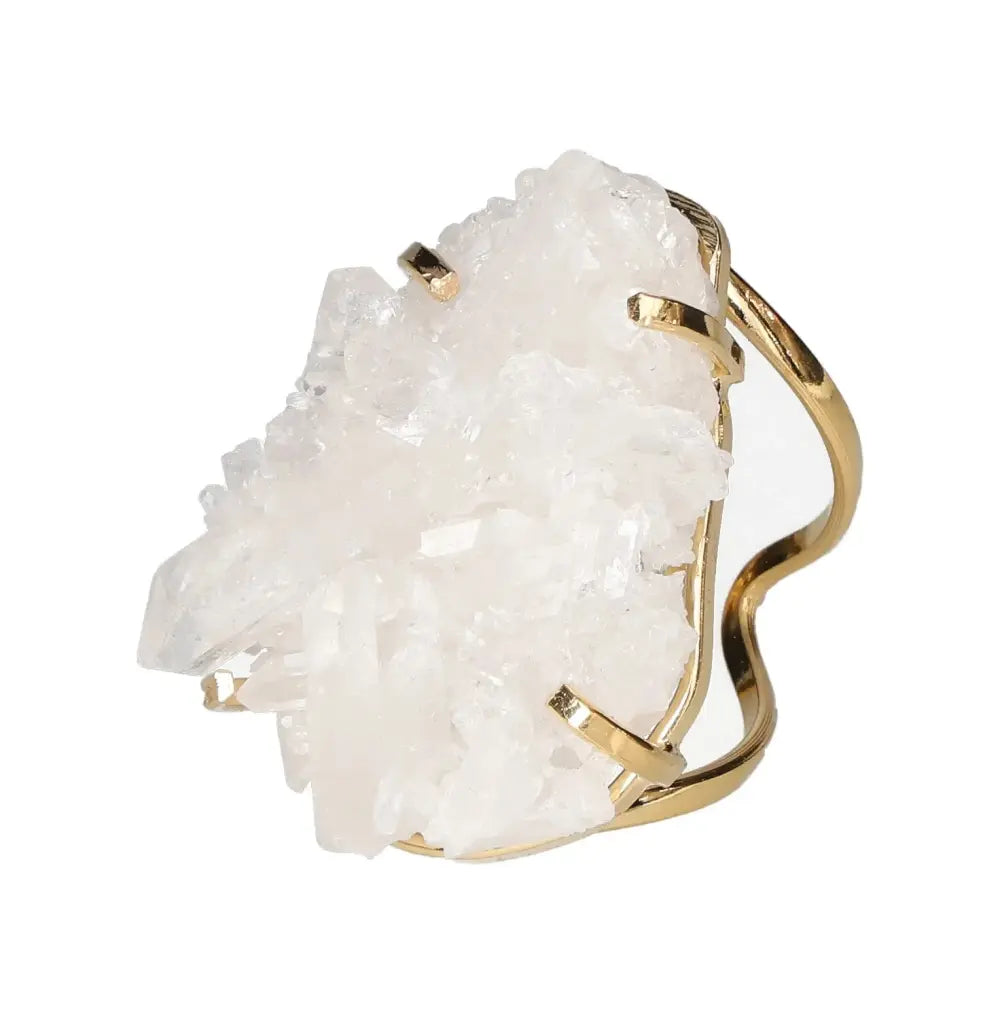 orbitvu|type:image2d