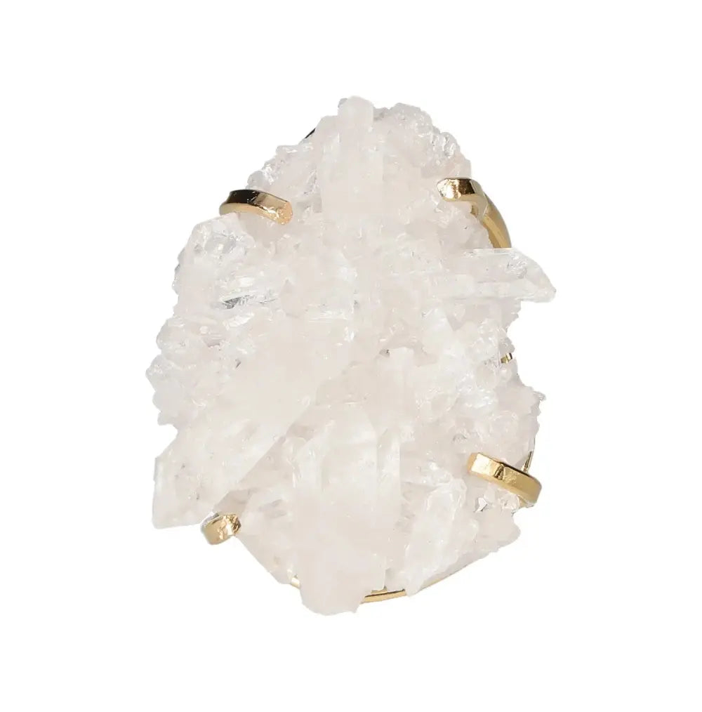 orbitvu|type:image2d