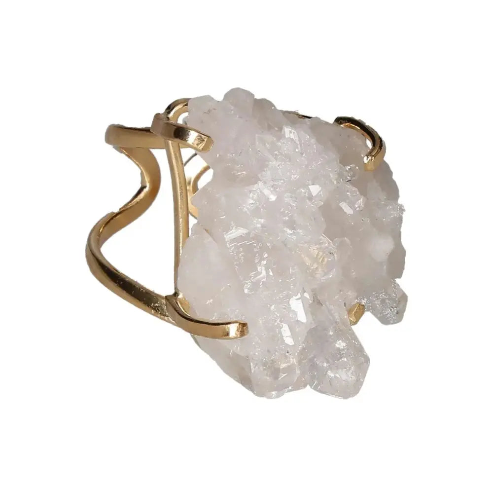 orbitvu|type:image2d