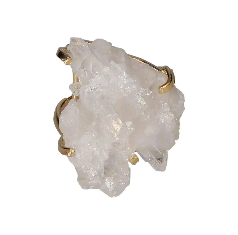 orbitvu|type:image2d