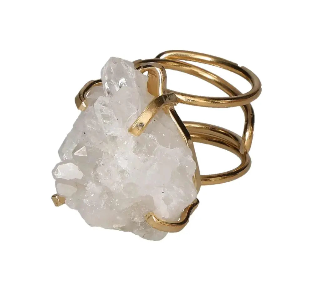 orbitvu|type:image2d