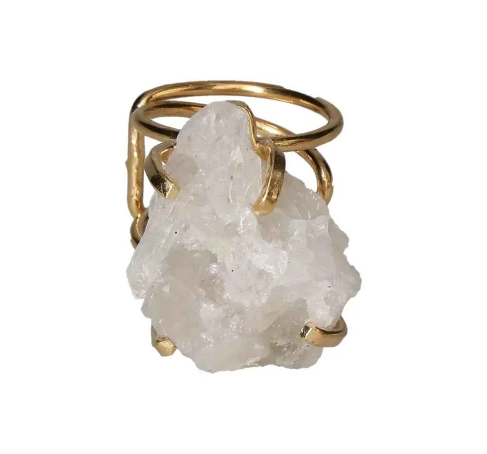 orbitvu|type:image2d