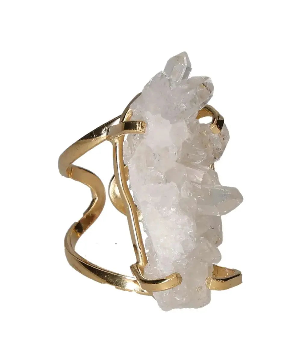 orbitvu|type:image2d