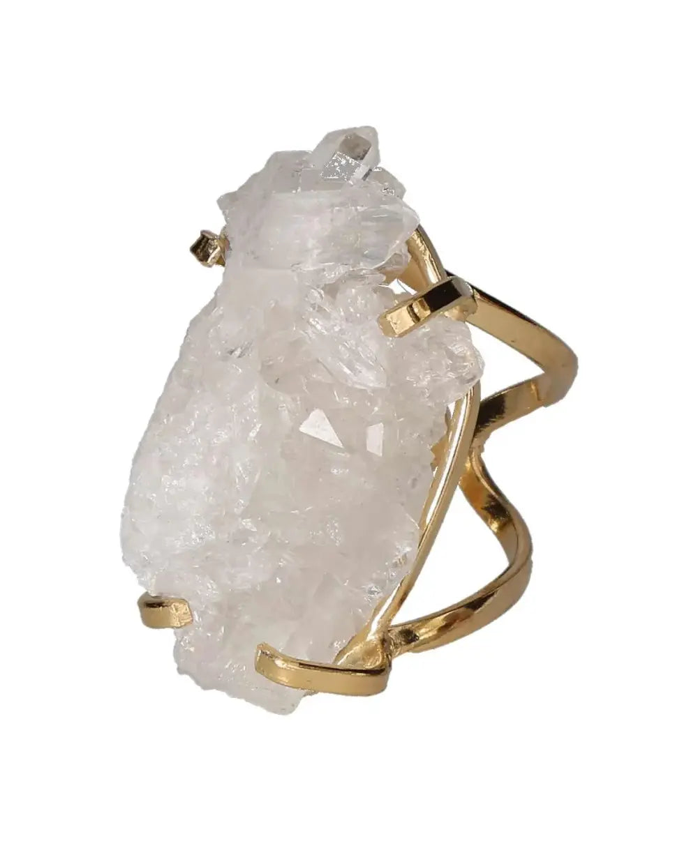 orbitvu|type:image2d