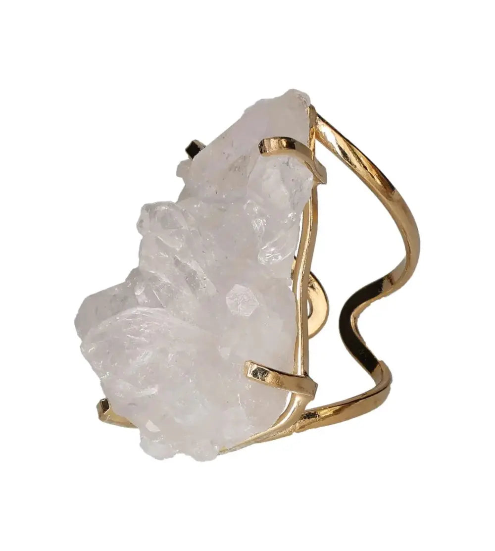 orbitvu|type:image2d