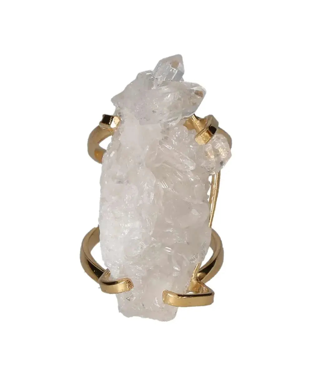 orbitvu|type:image2d