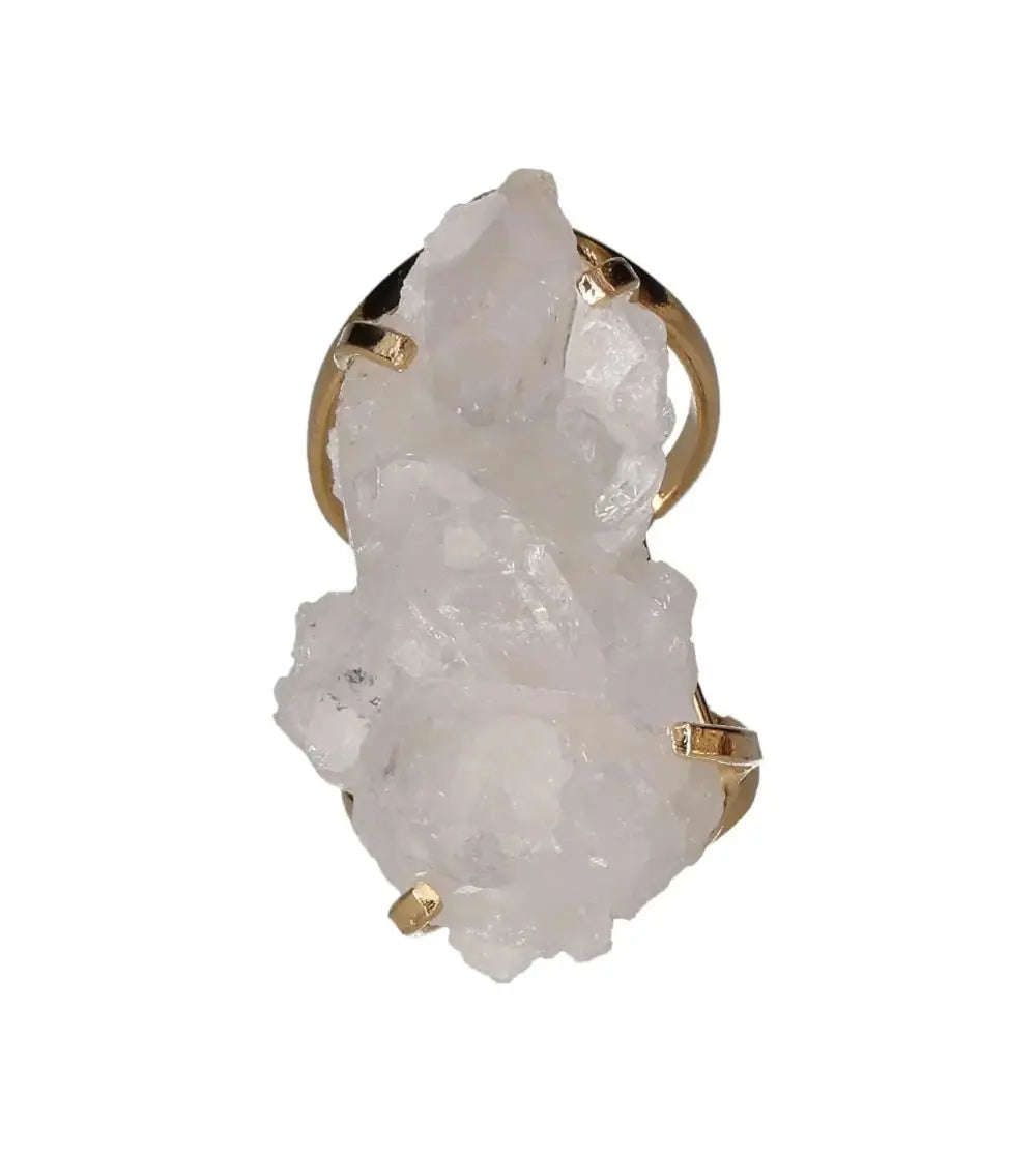 orbitvu|type:image2d