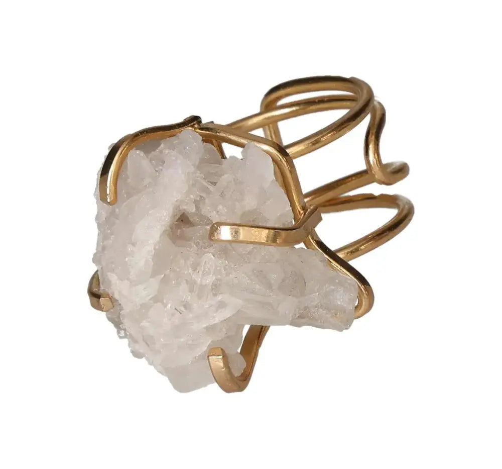 orbitvu|type:image2d