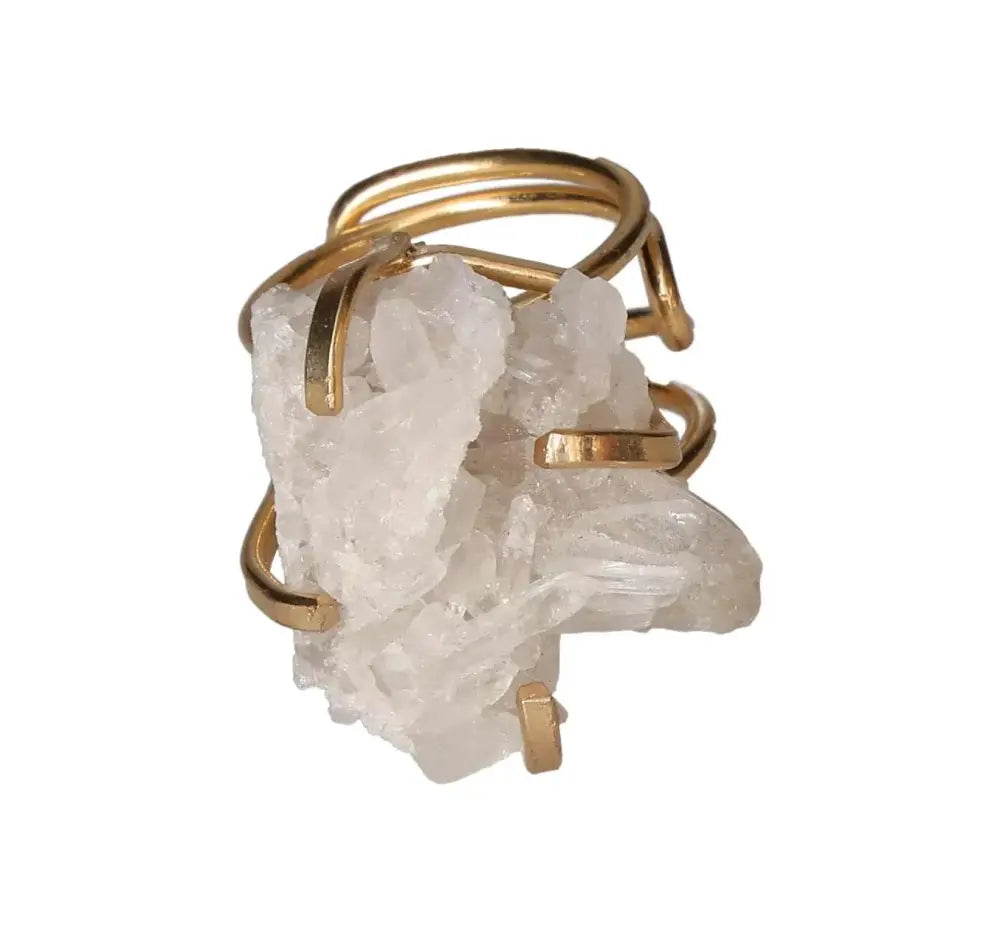 orbitvu|type:image2d