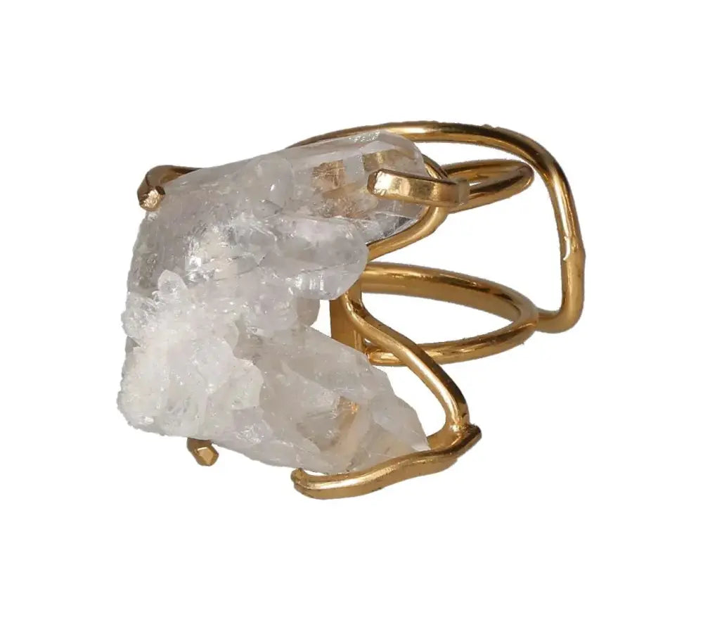 orbitvu|type:image2d