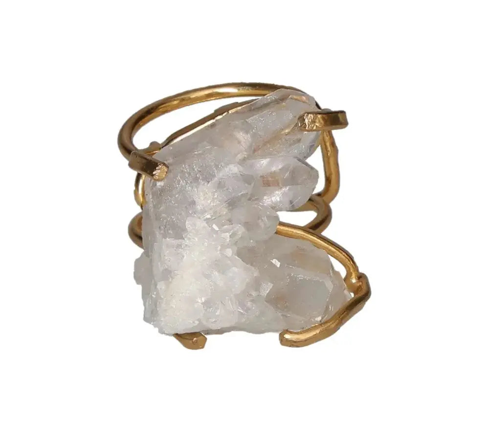 orbitvu|type:image2d