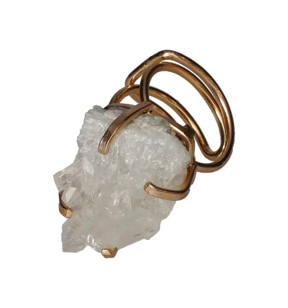 orbitvu|type:image2d