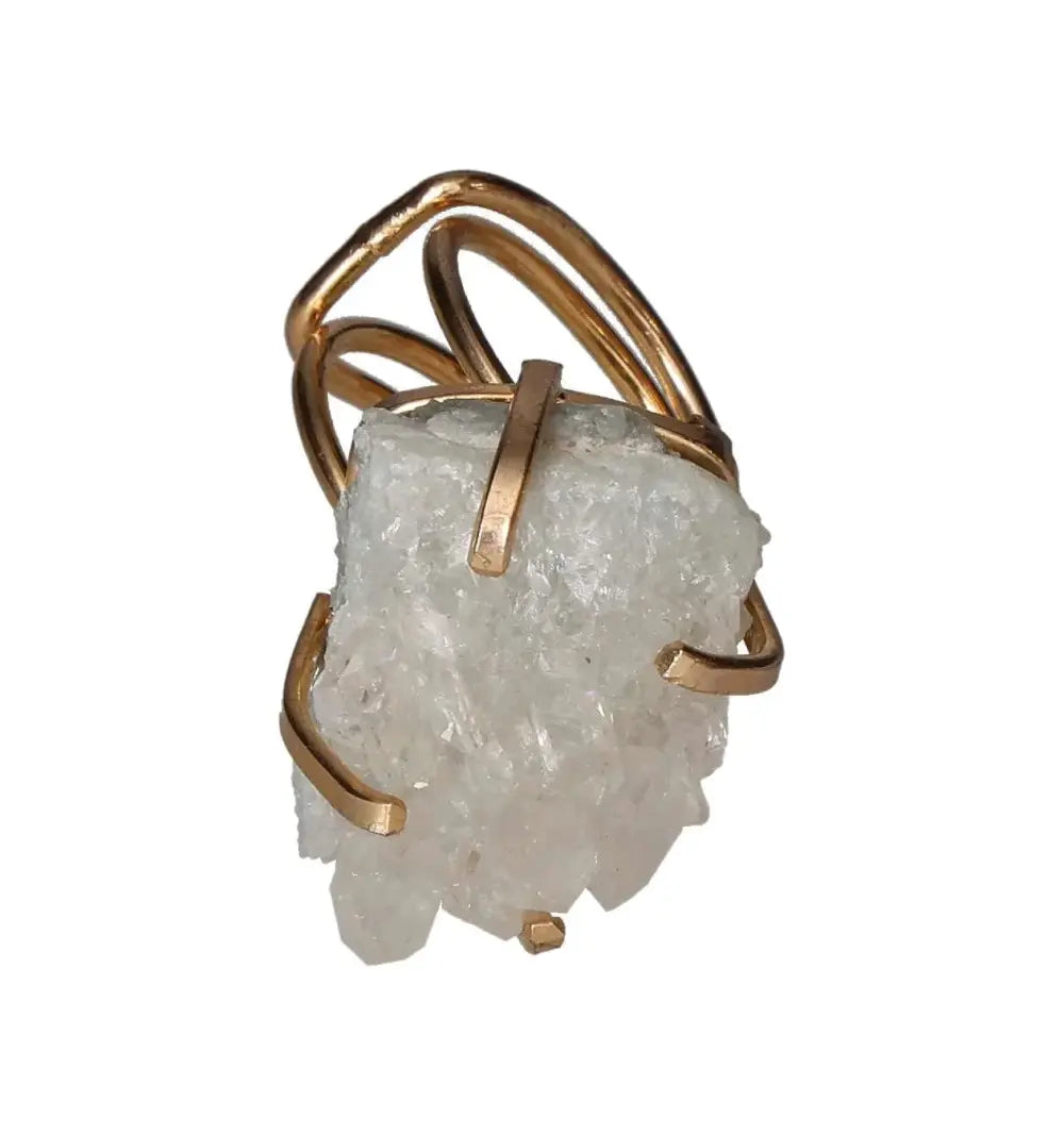 orbitvu|type:image2d