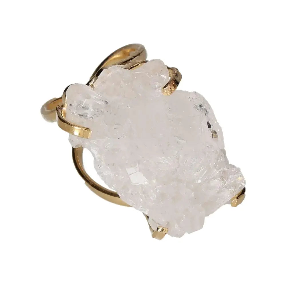 orbitvu|type:image2d