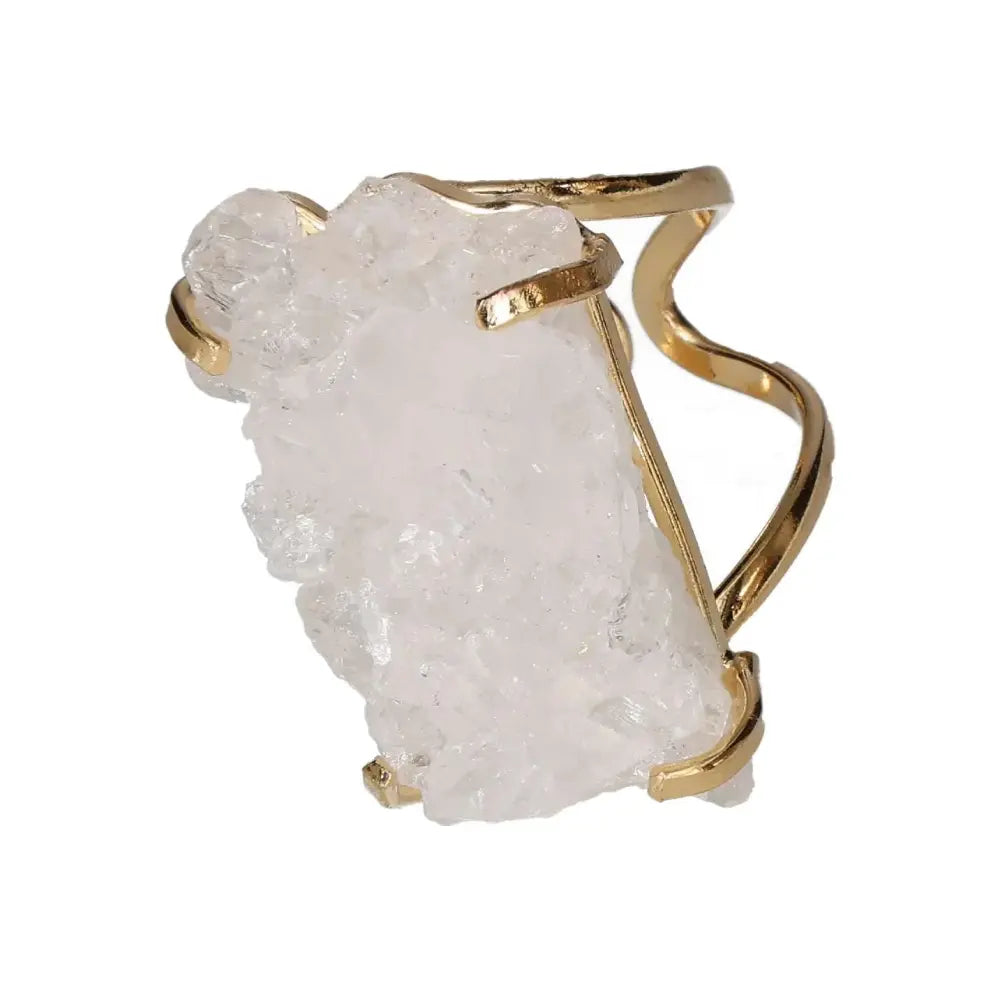 orbitvu|type:image2d