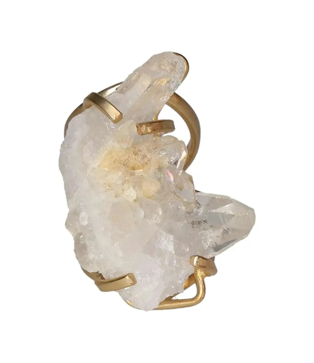 orbitvu|type:image2d