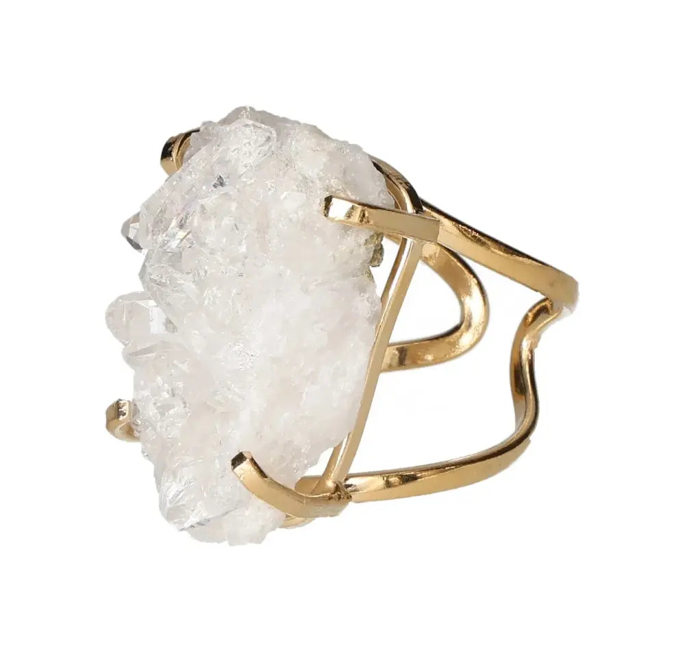 orbitvu|type:image2d