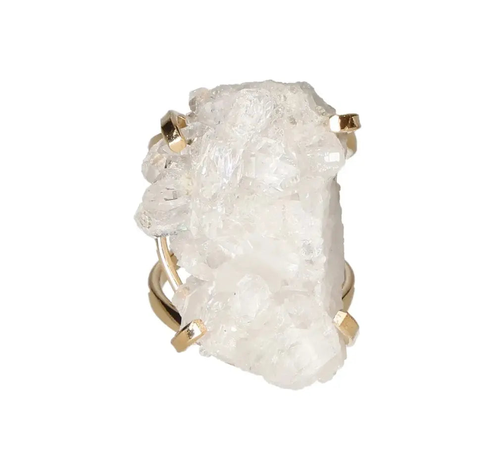 orbitvu|type:image2d