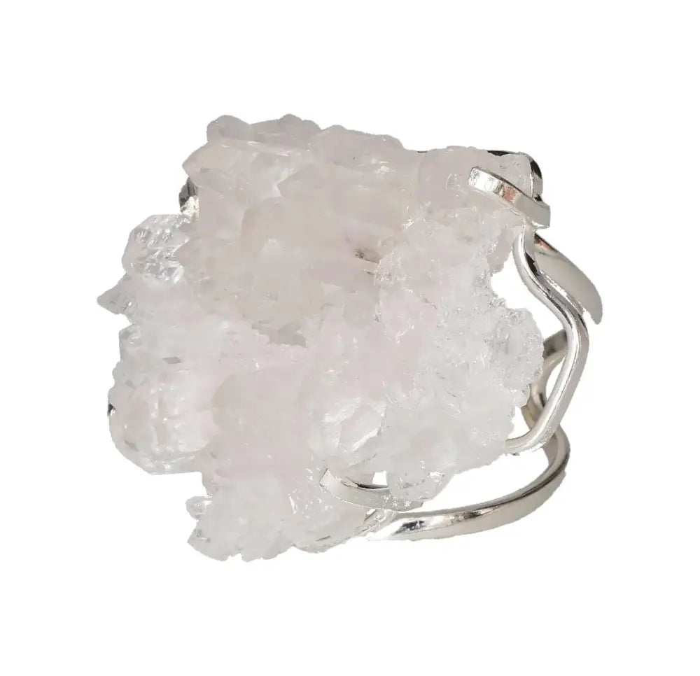 orbitvu|type:image2d