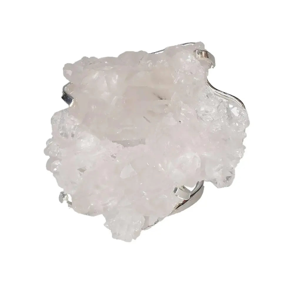 orbitvu|type:image2d