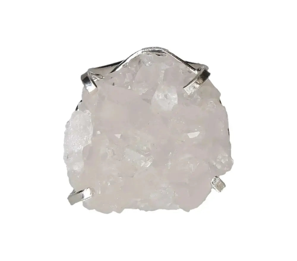 orbitvu|type:image2d