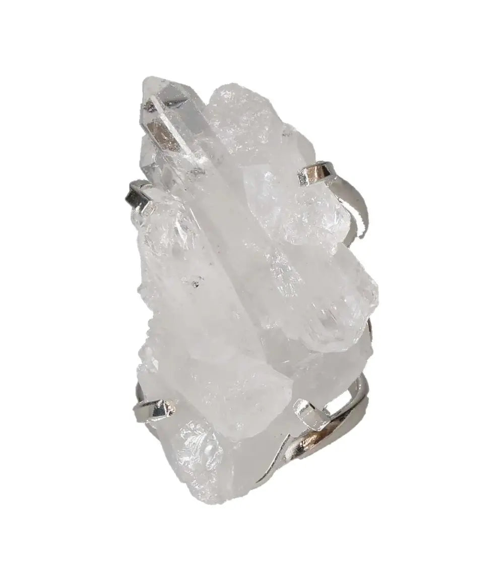 orbitvu|type:image2d