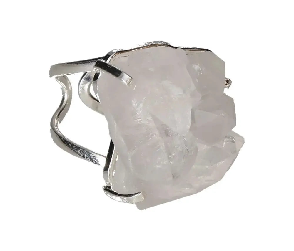 orbitvu|type:image2d